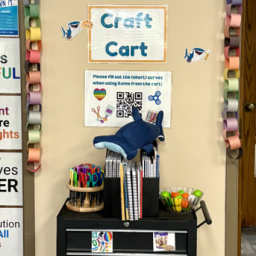 Craft cart