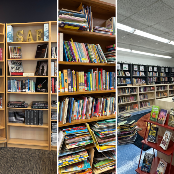 Various library bookshelf 