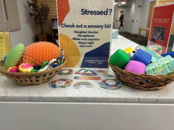 Sensory kits in the library