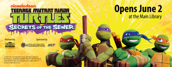 Teenage Mutant Turtles Exhibit Banner