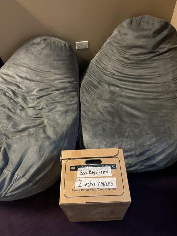 Two Large Bean Bag Chairs with New Extra Covers